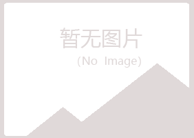 中方县代梅化学有限公司